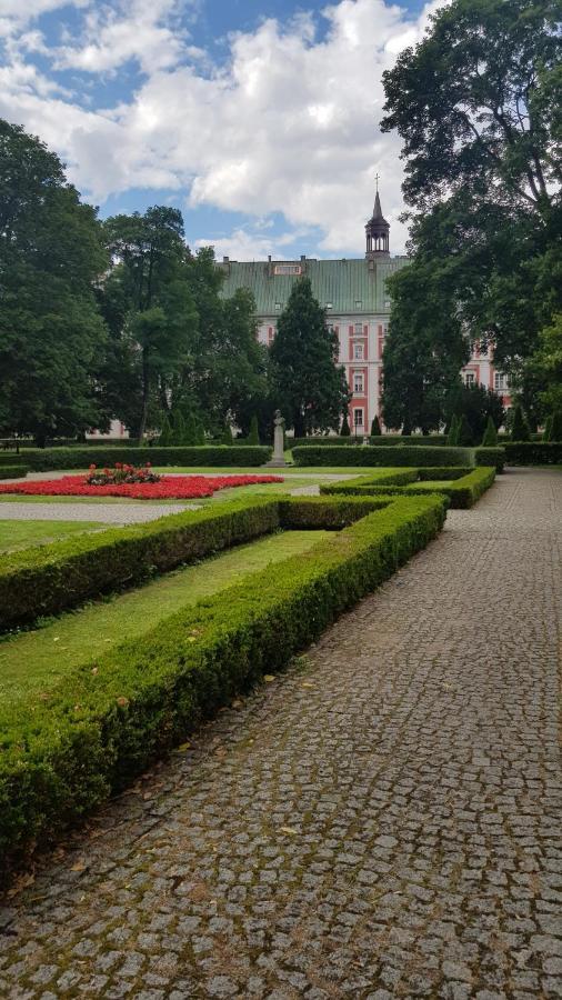 Chopin Park Lux Apartment, Self Check-In 24H, Free Parking, Air-Conditioning Poznan Dış mekan fotoğraf